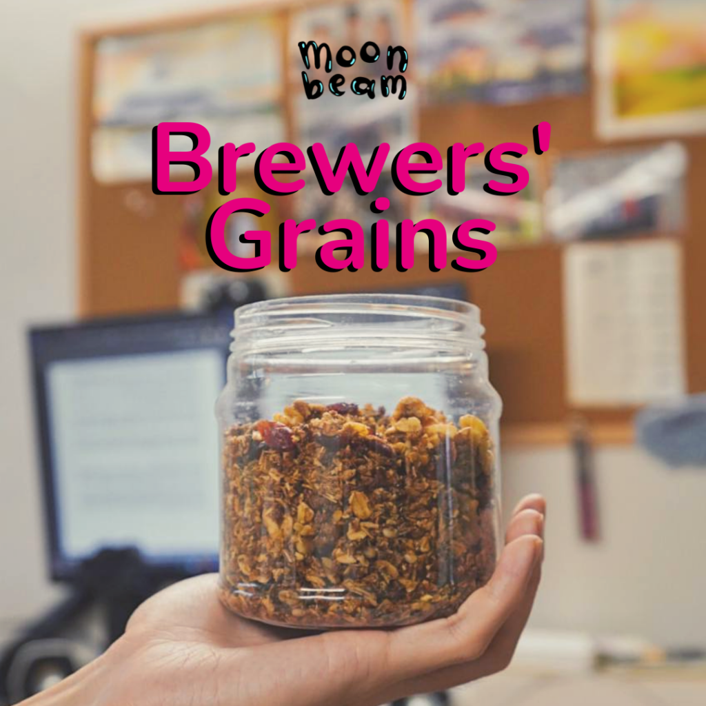 7 Ways You Can Eat Spent Grains the moonbeam co